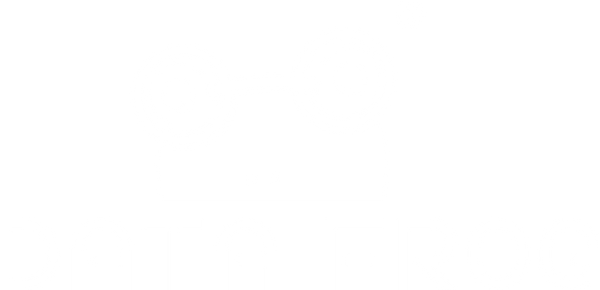 DATA FROG