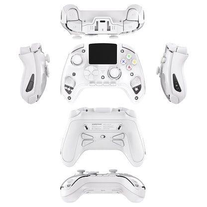 DATA FROG ANBERNIC RG G01 Game Controller